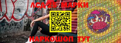 гашик Донецк