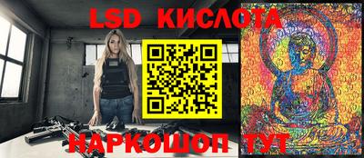 гашик Донецк