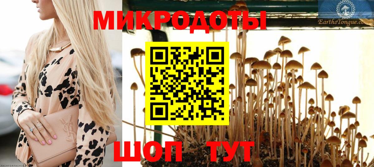 Галлюциногенные грибы MAGIC MUSHROOMS Миллерово