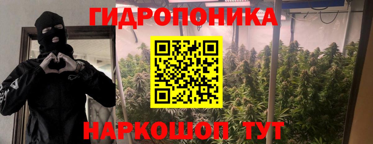 Марихуана SATIVA & INDICA Миллерово